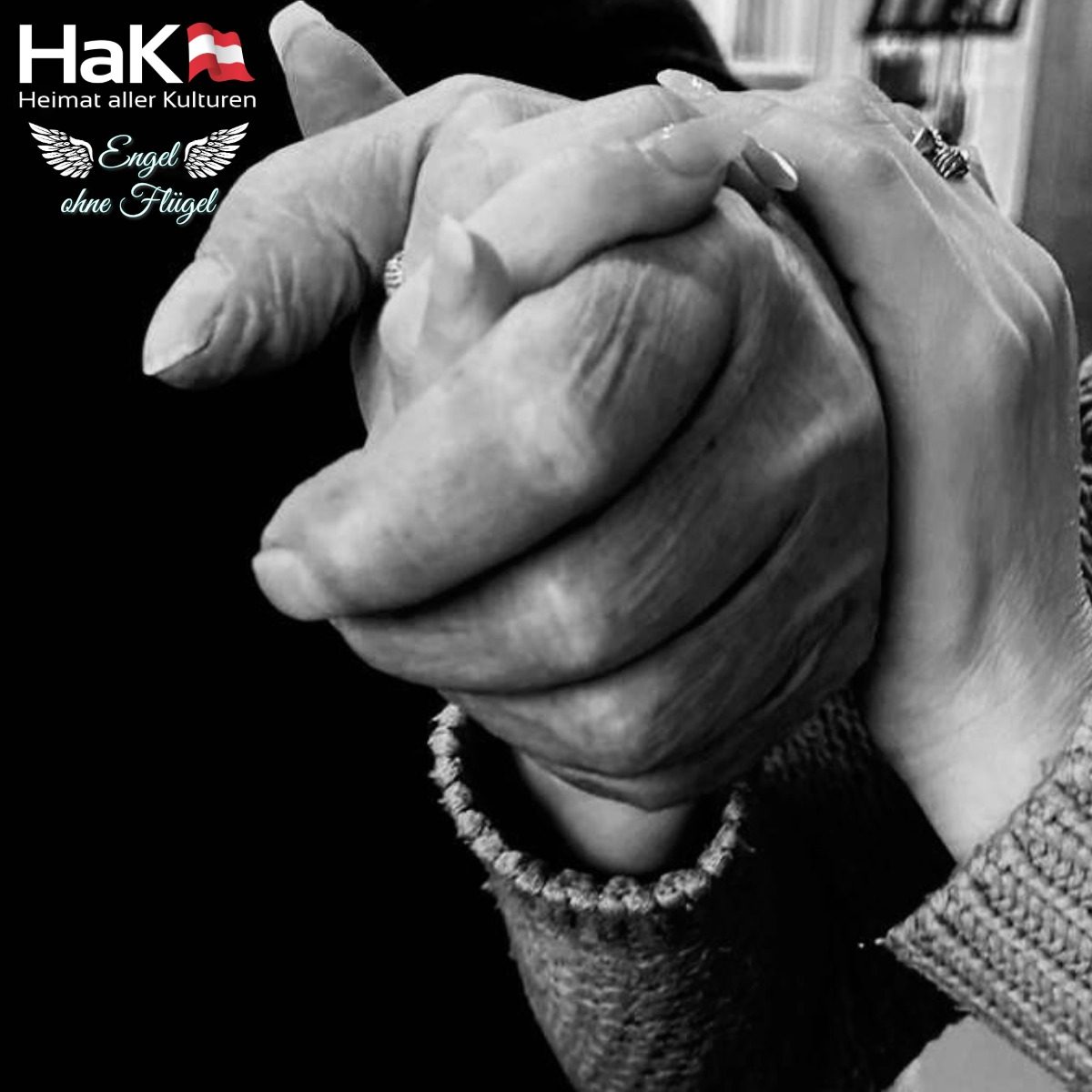 WhatsApp Image 2025-12-30 at 22.28.33